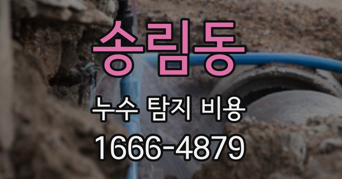 송림동 누수 탐지 비용