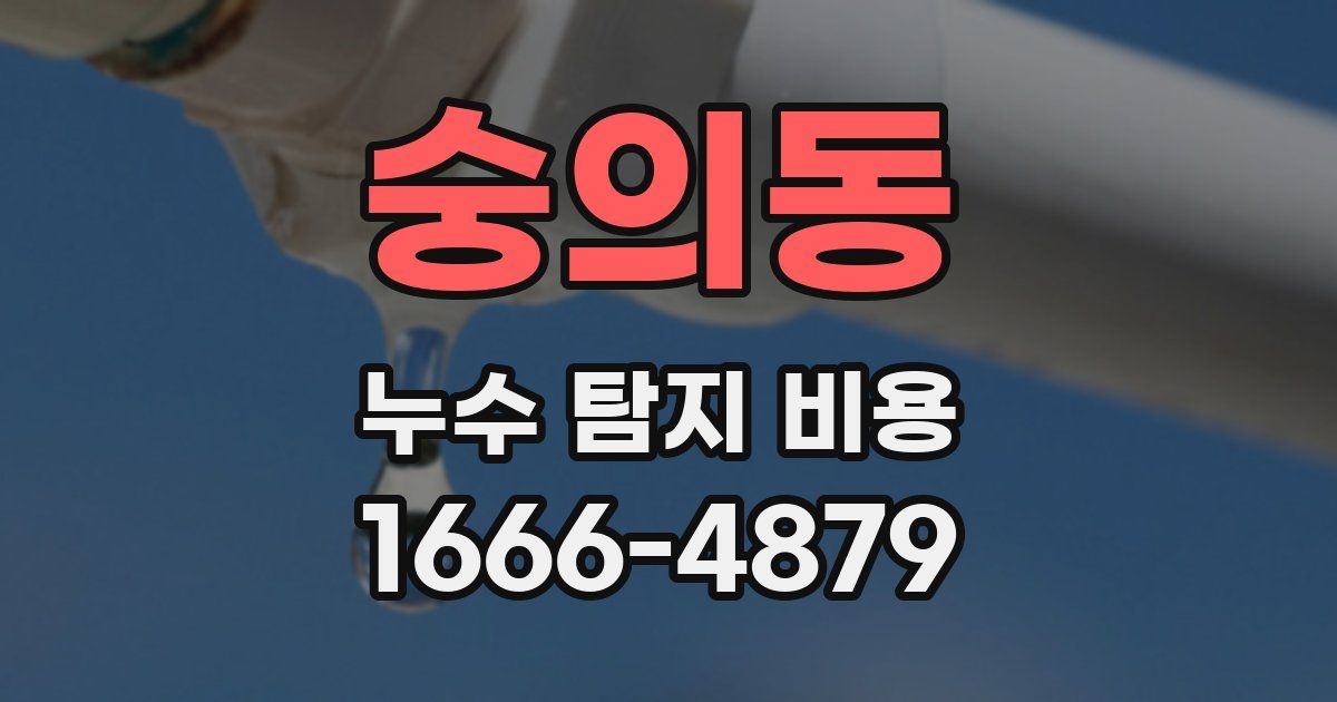 숭의동 누수 탐지 비용