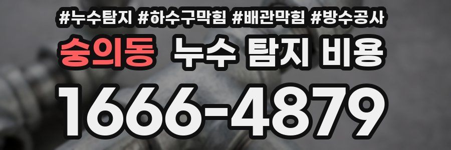 숭의동 누수 탐지 비용