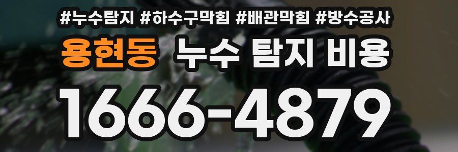 용현동 누수 탐지 비용