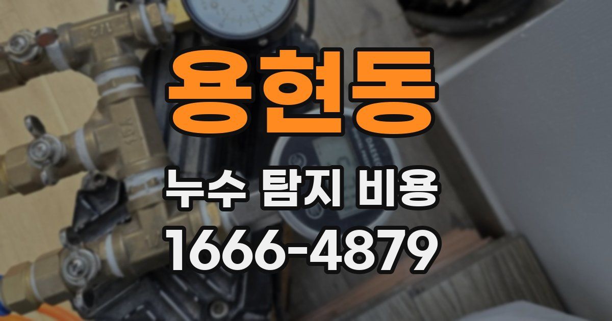 용현동 누수 탐지 비용