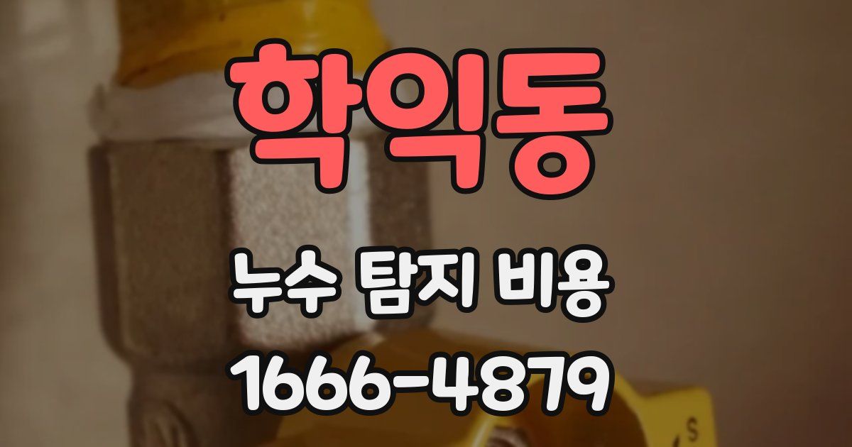 학익동 누수 탐지 비용