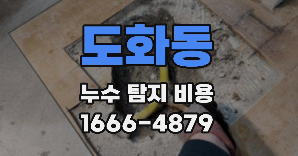 도화동 누수 탐지 비용
