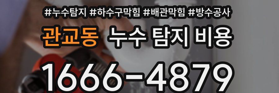 관교동 누수 탐지 비용