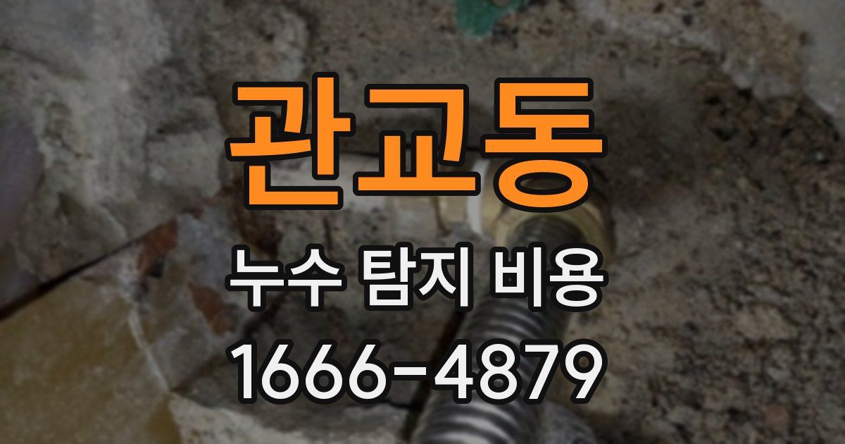 관교동 누수 탐지 비용