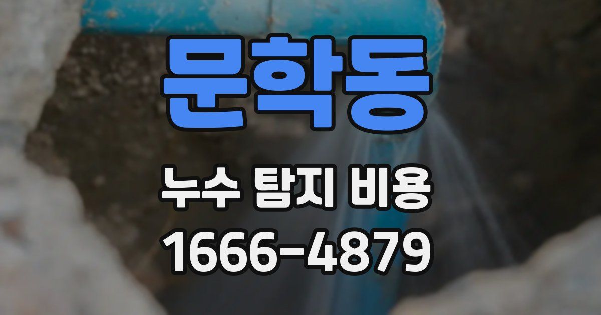 문학동 누수 탐지 비용