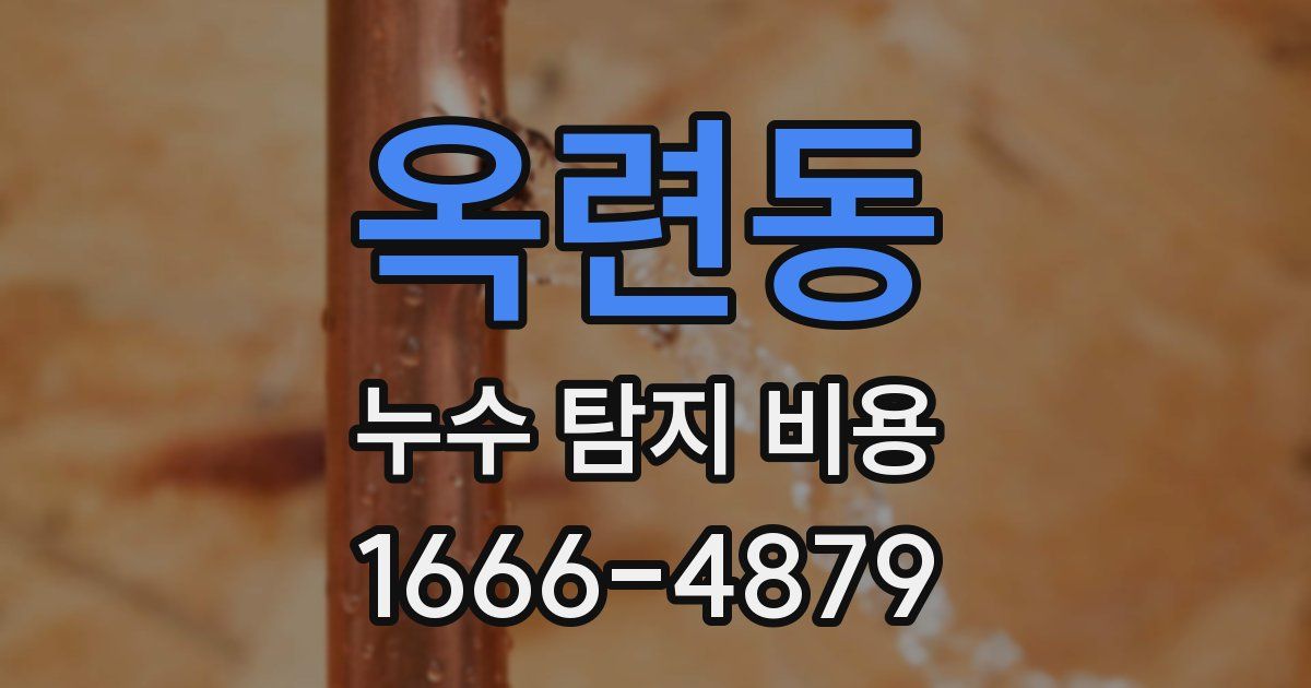 옥련동 누수 탐지 비용