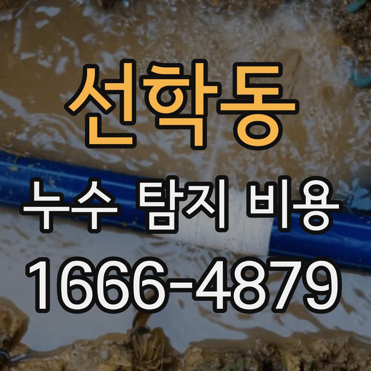 선학동 누수 탐지 비용