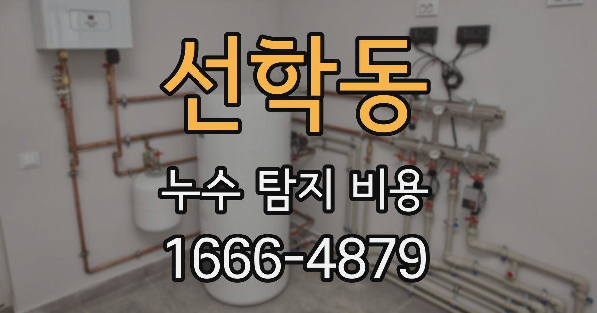선학동 누수 탐지 비용