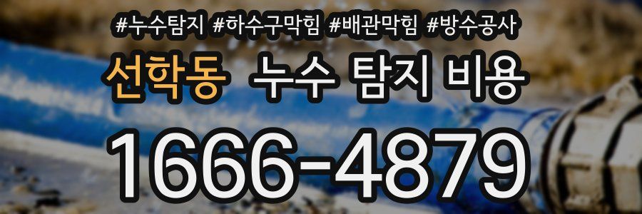 선학동 누수 탐지 비용