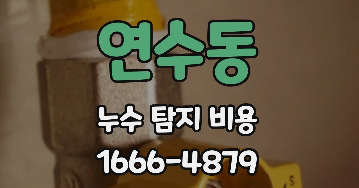 연수동 누수 탐지 비용