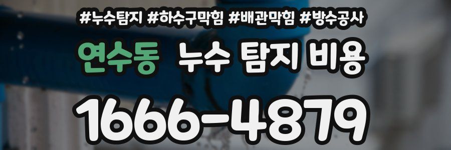 연수동 누수 탐지 비용