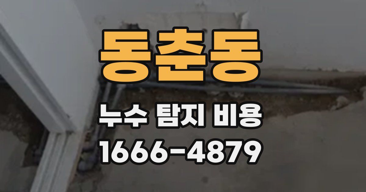 동춘동 누수 탐지 비용