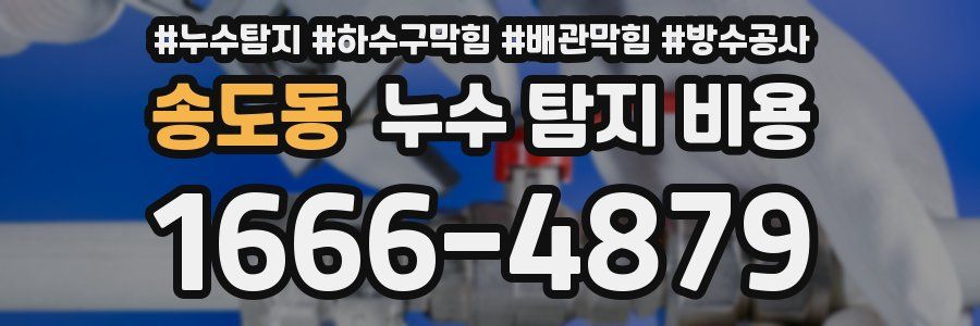 송도동 누수 탐지 비용