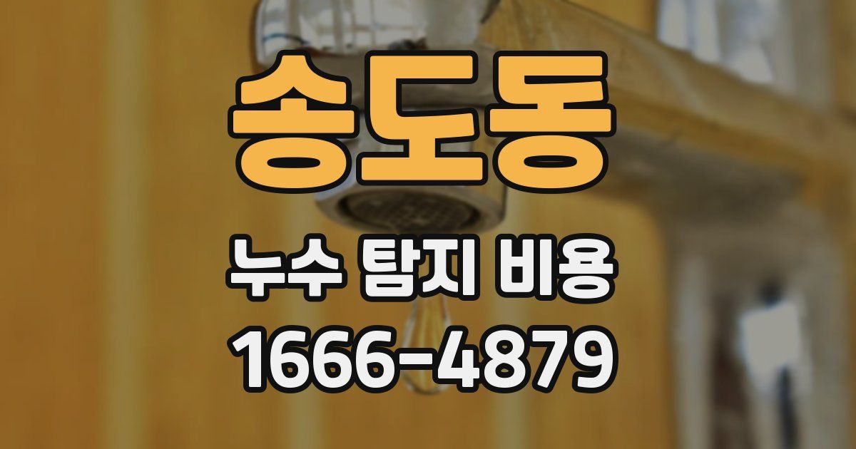 송도동 누수 탐지 비용