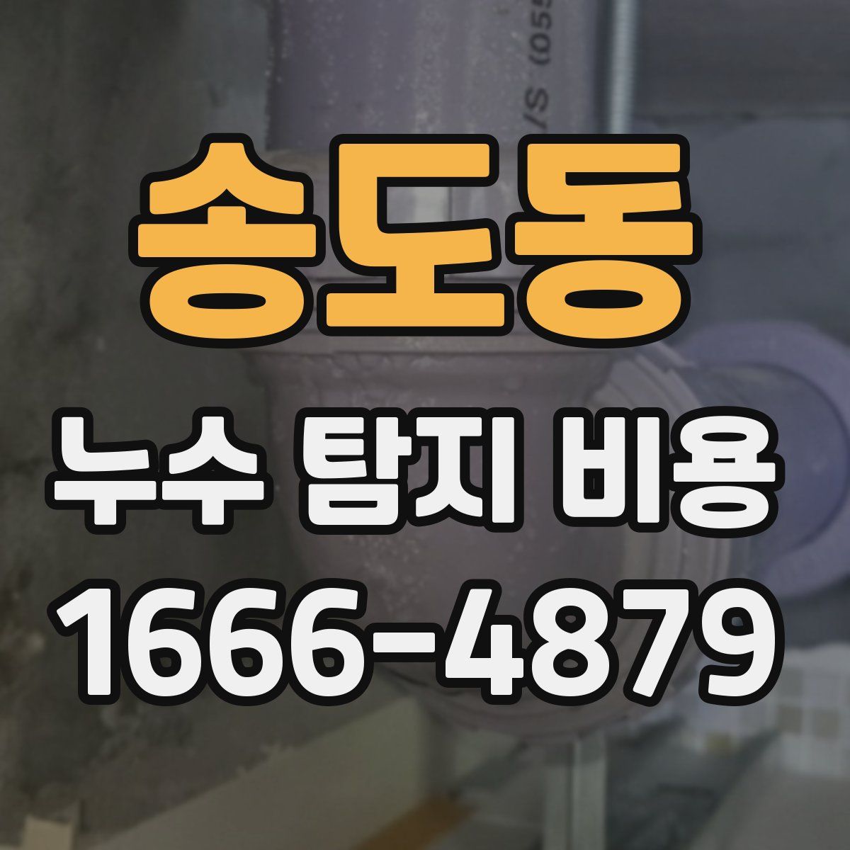 송도동 누수 탐지 비용