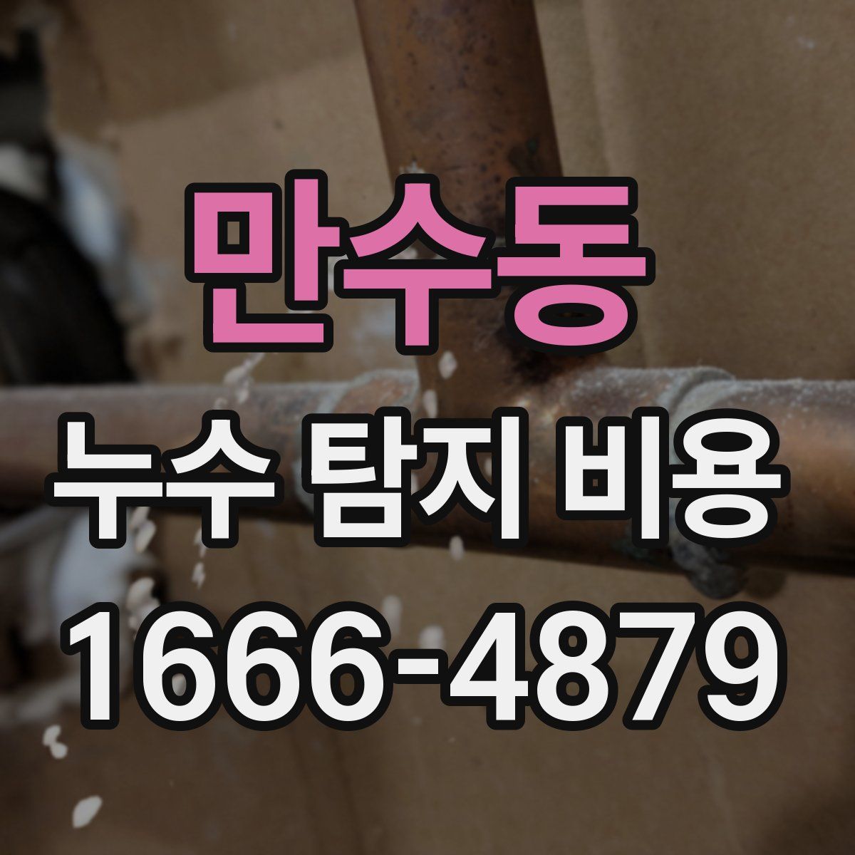 만수동 누수 탐지 비용