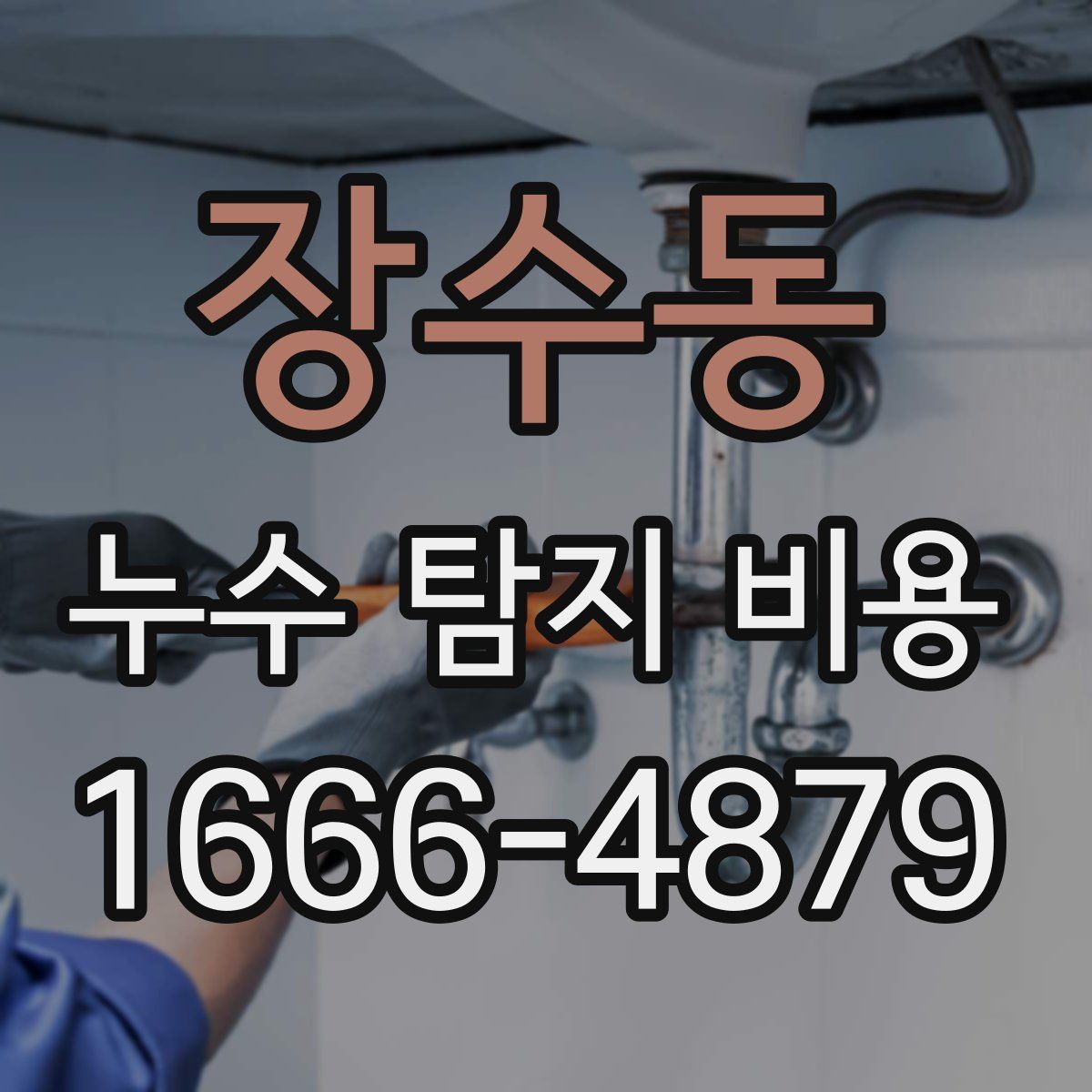 장수동 누수 탐지 비용