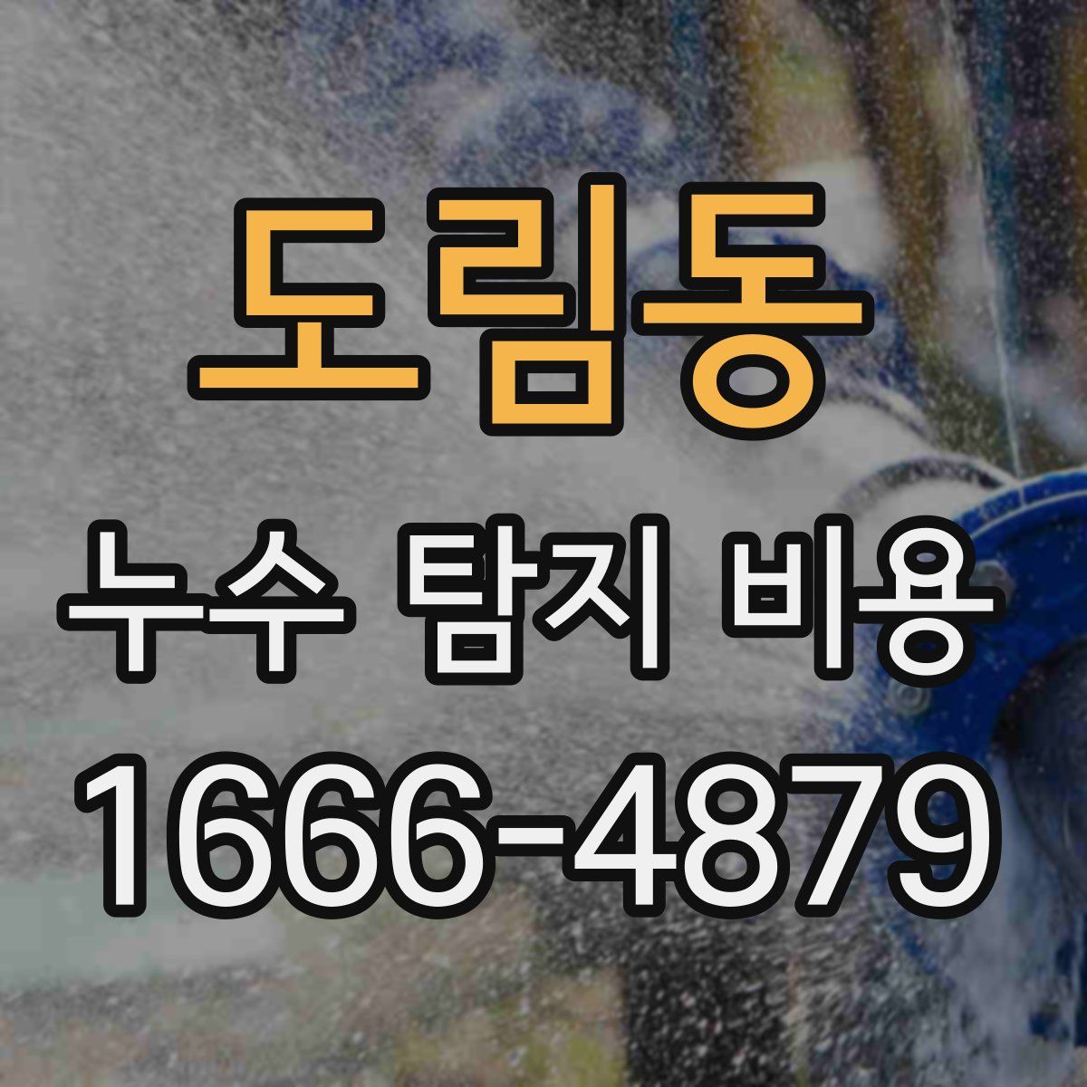 도림동 누수 탐지 비용