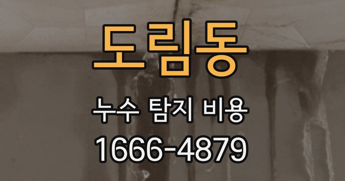 도림동 누수 탐지 비용