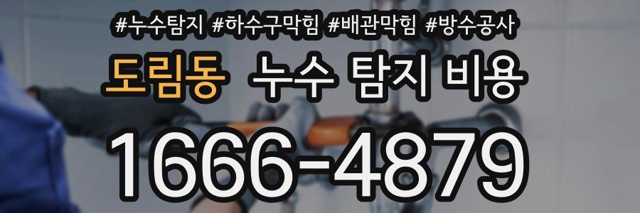 도림동 누수 탐지 비용