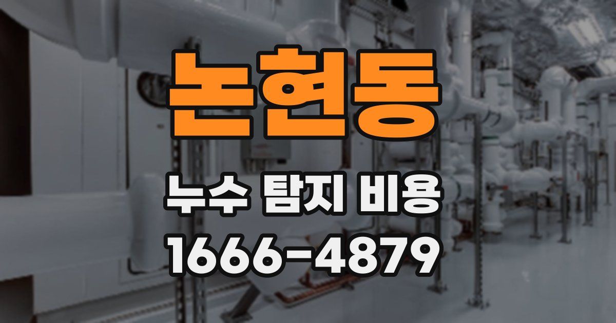 논현동 누수 탐지 비용