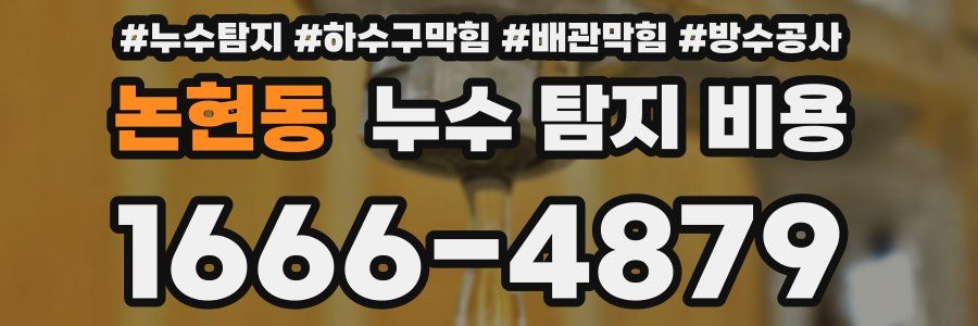 논현동 누수 탐지 비용