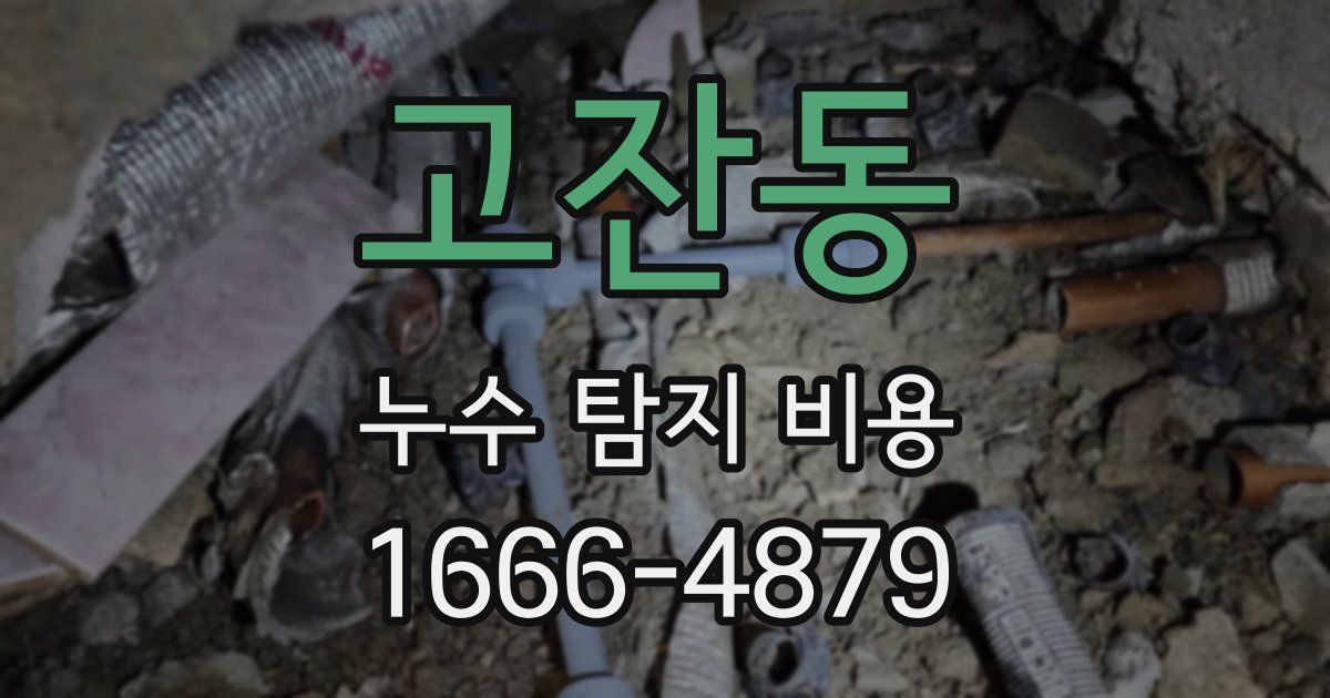 고잔동 누수 탐지 비용