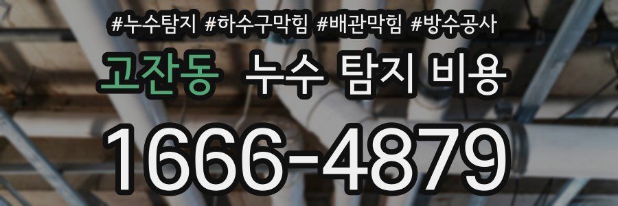 고잔동 누수 탐지 비용