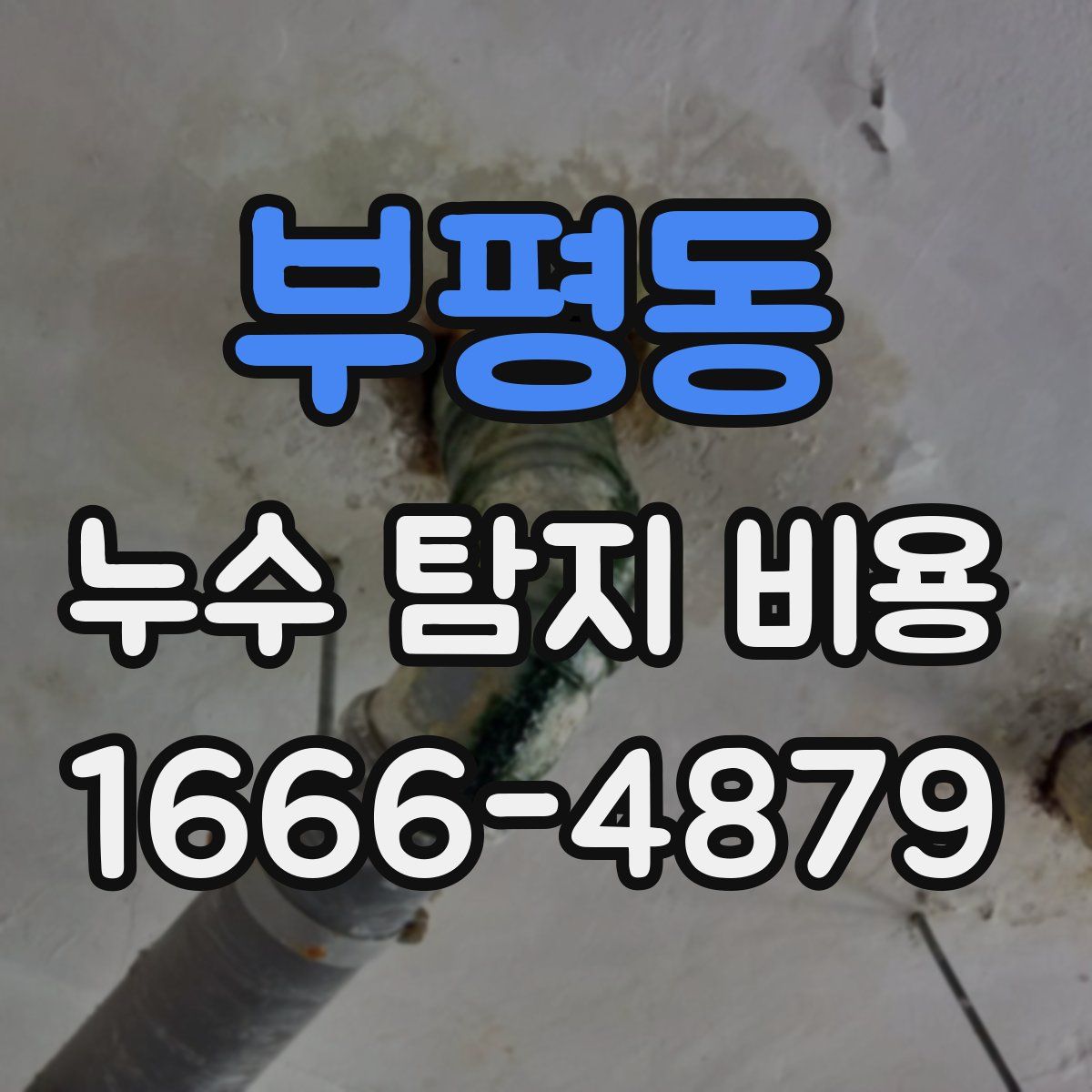 부평동 누수 탐지 비용