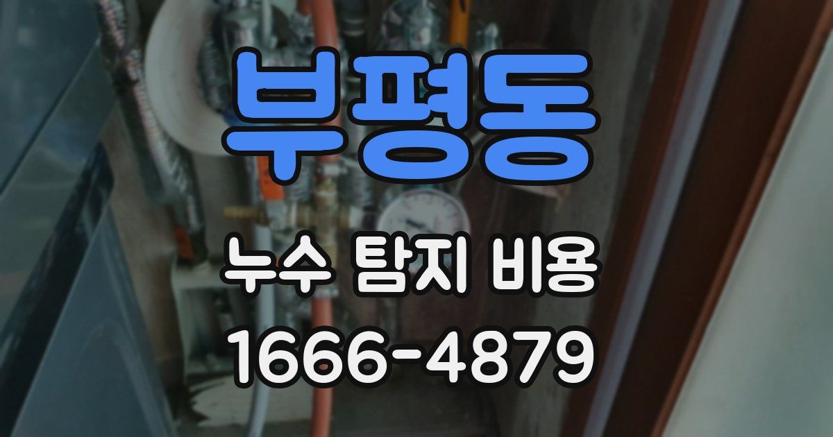 부평동 누수 탐지 비용