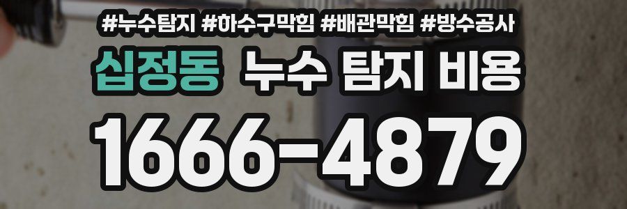 십정동 누수 탐지 비용