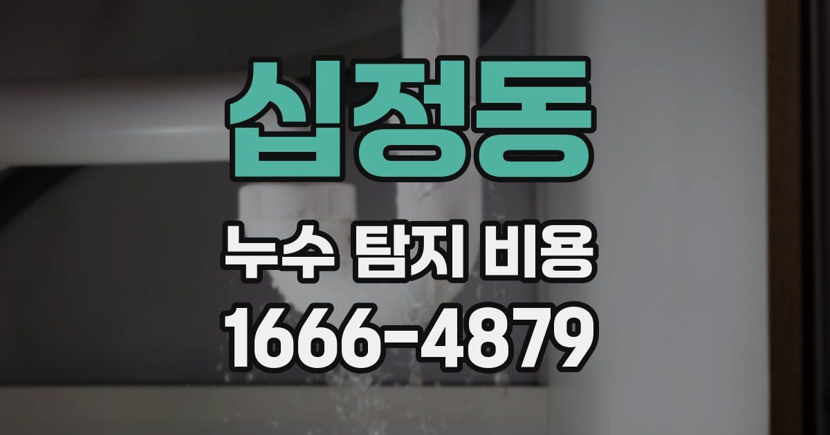십정동 누수 탐지 비용