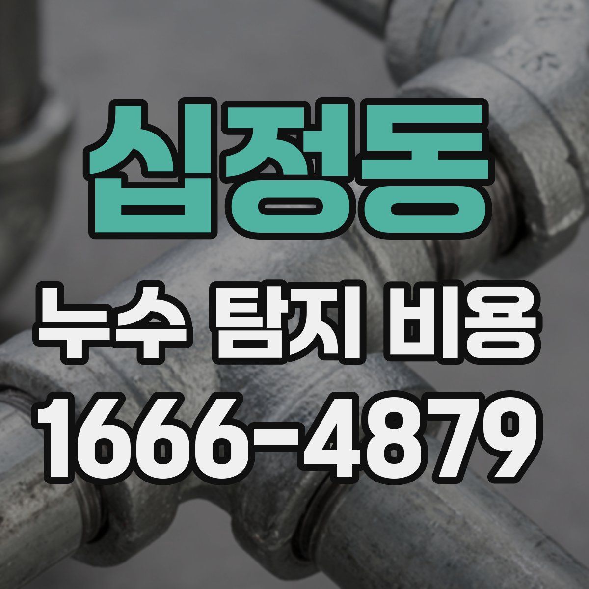 십정동 누수 탐지 비용