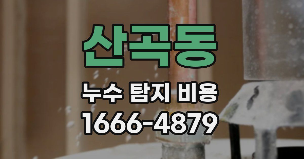 산곡동 누수 탐지 비용