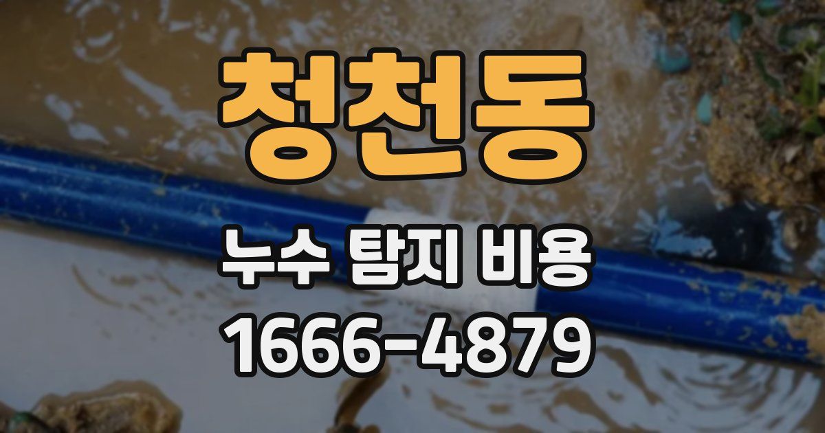 청천동 누수 탐지 비용
