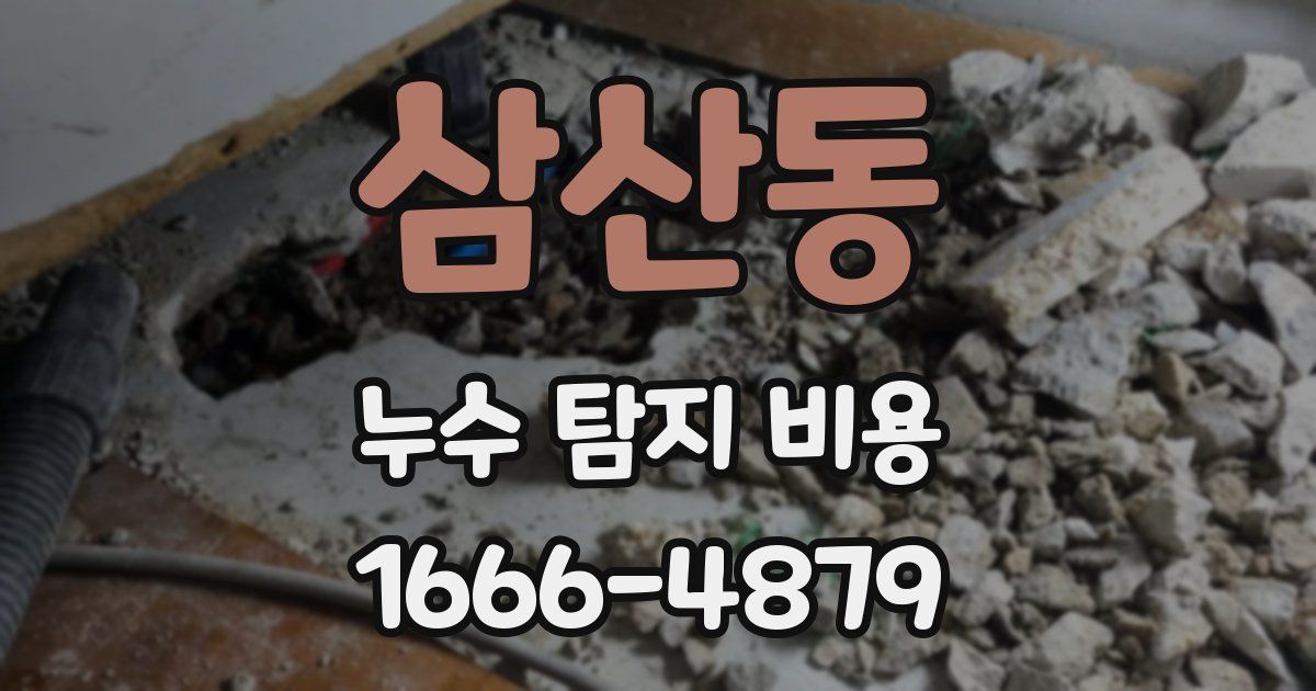 삼산동 누수 탐지 비용