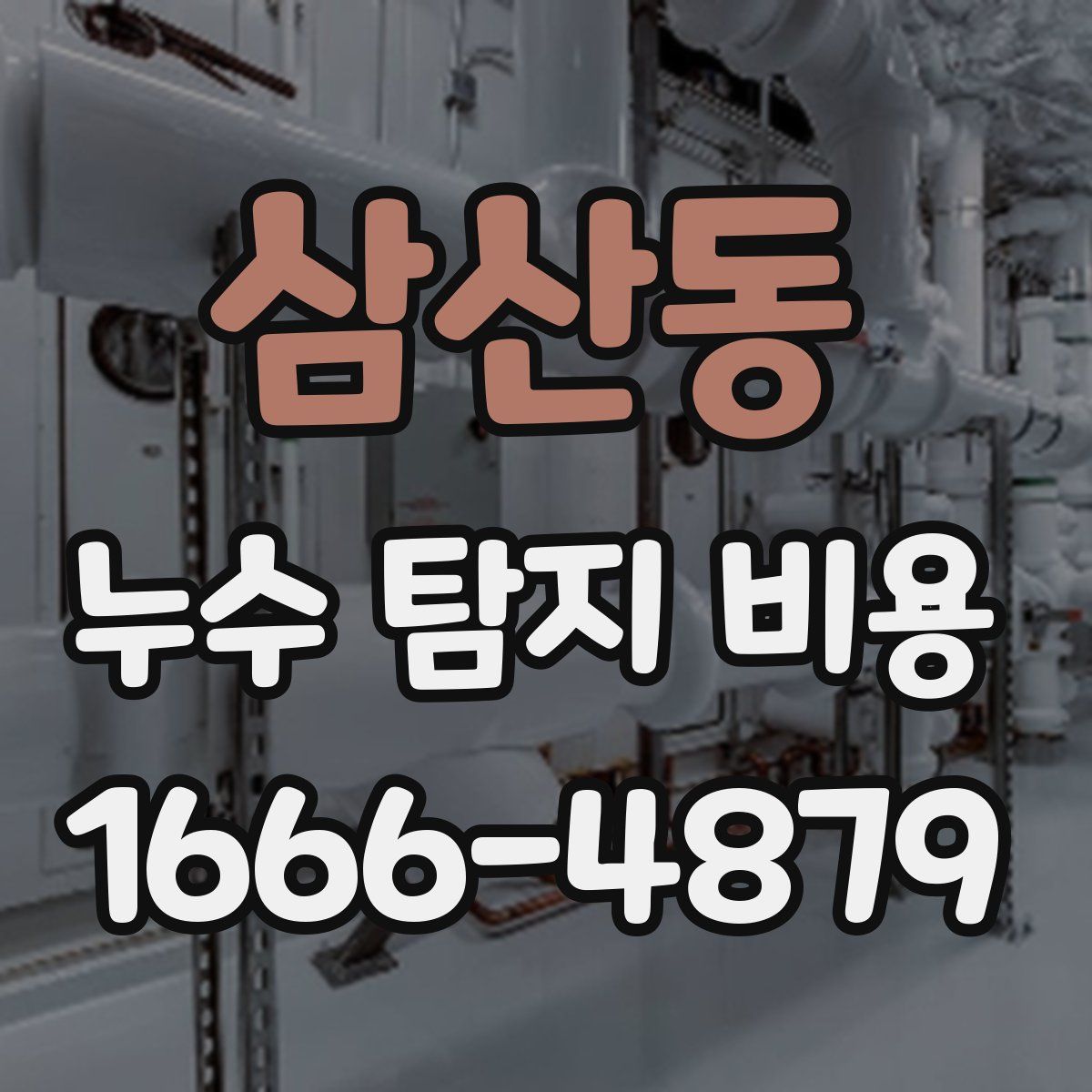 삼산동 누수 탐지 비용