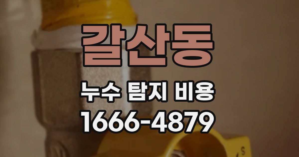 갈산동 누수 탐지 비용