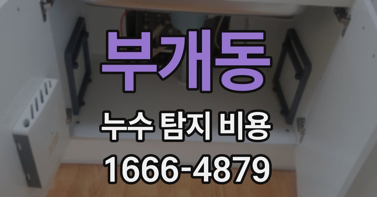 부개동 누수 탐지 비용