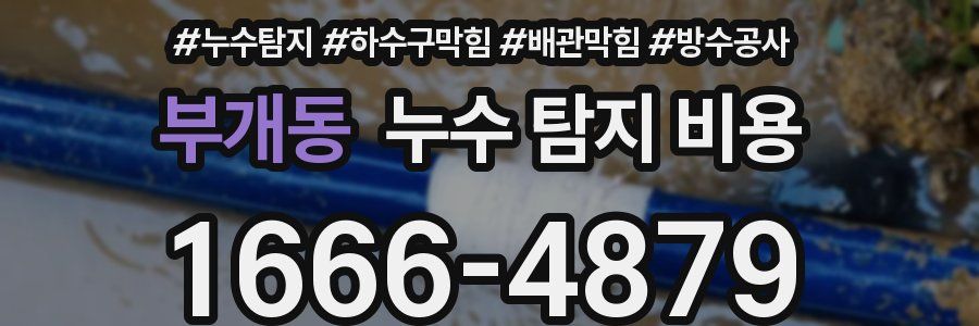 부개동 누수 탐지 비용