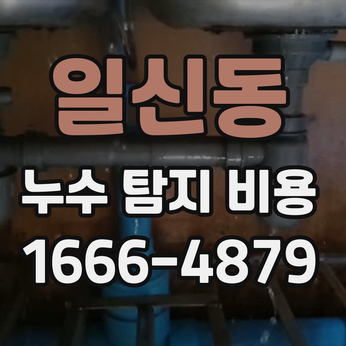 일신동 누수 탐지 비용