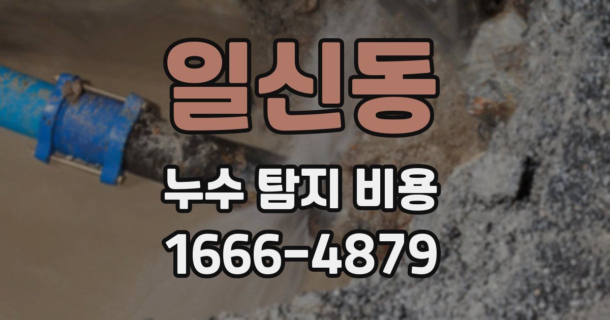 일신동 누수 탐지 비용