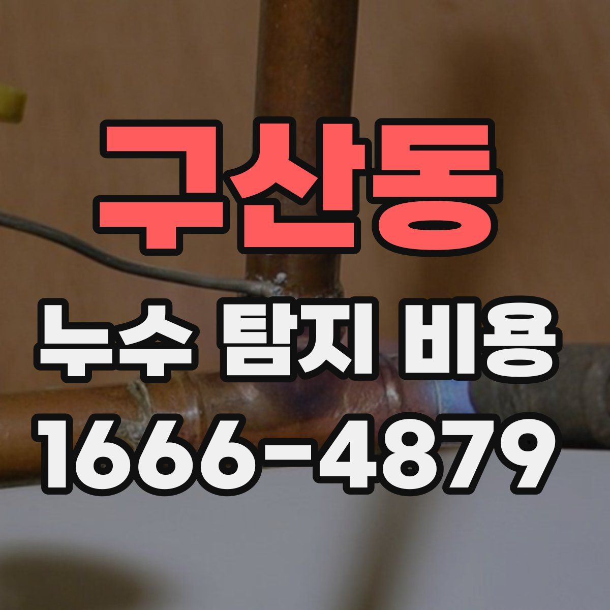 구산동 누수 탐지 비용