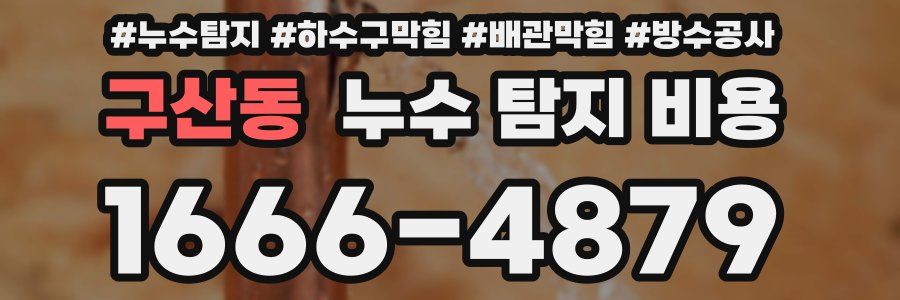 구산동 누수 탐지 비용