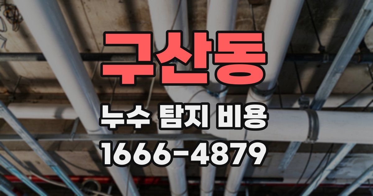 구산동 누수 탐지 비용