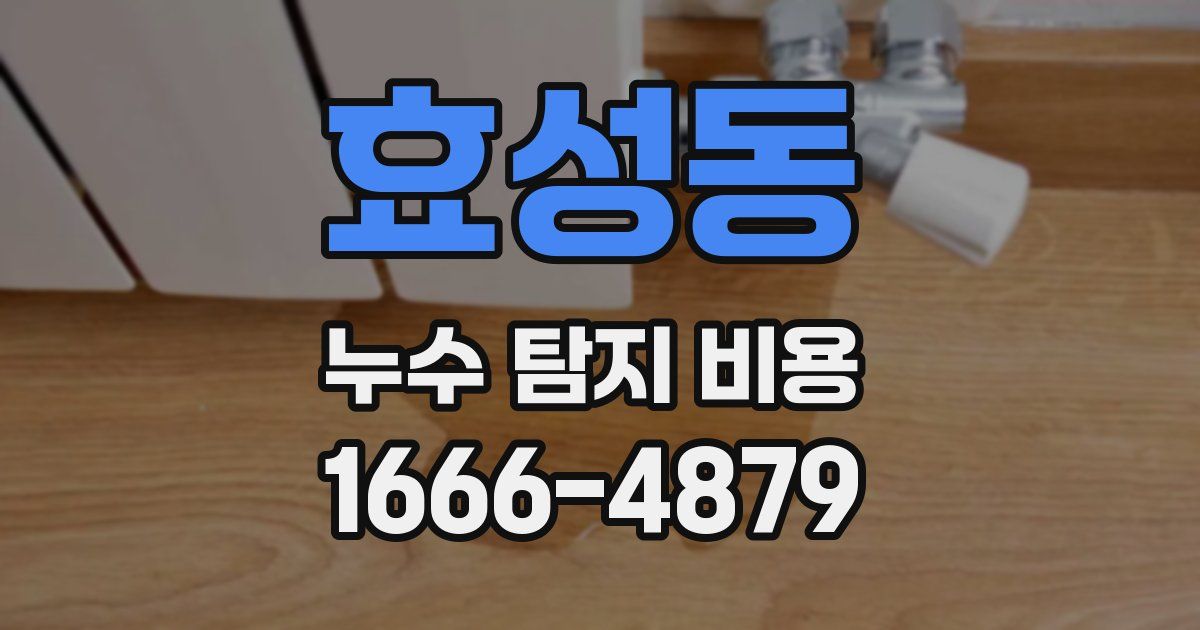 효성동 누수 탐지 비용