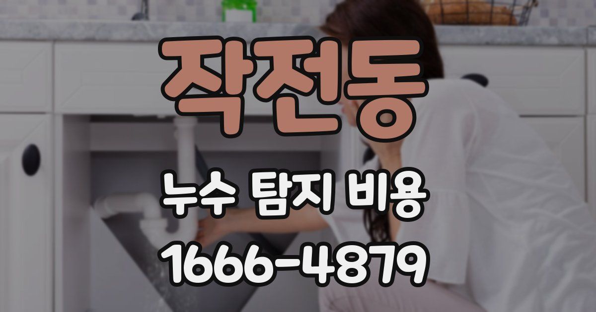 작전동 누수 탐지 비용