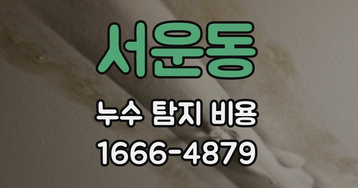 서운동 누수 탐지 비용