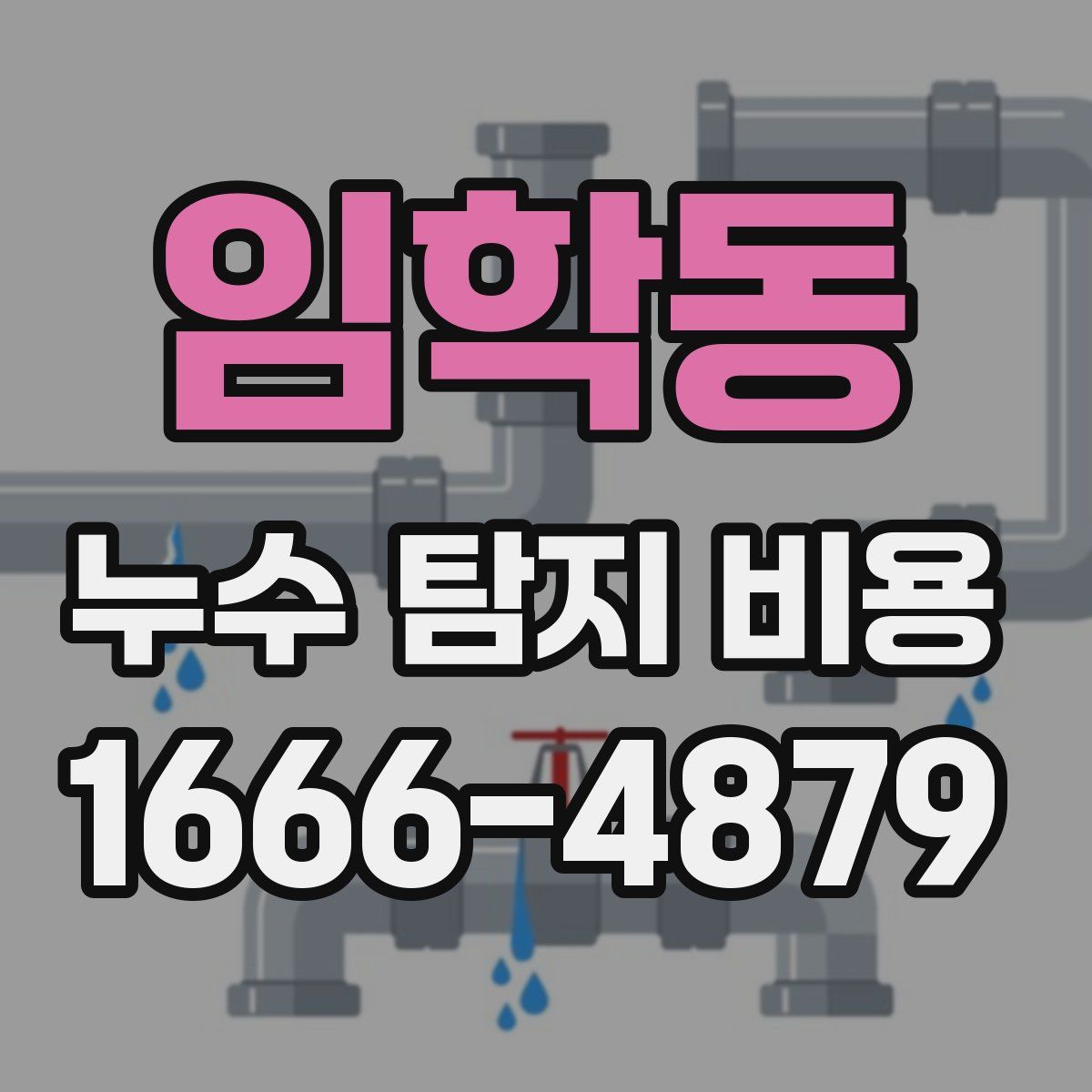 임학동 누수 탐지 비용